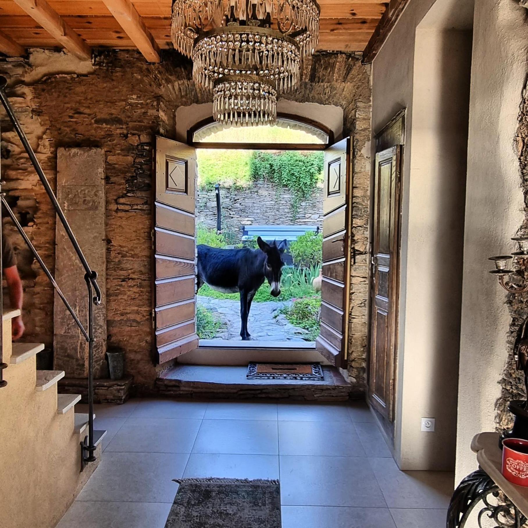 Domaine Colonna Santini ,Chambre D Hotes Piscine, Sauna, Spa Porri Eksteriør billede
